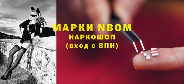 Альфа ПВП Белокуриха