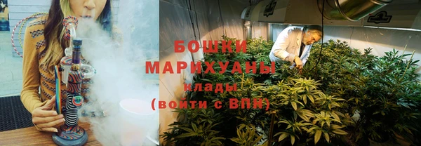 Альфа ПВП Белокуриха